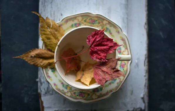 Картинка листья, фон, чашка