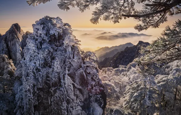 Картинка зима, облака, снег, деревья, пейзаж, горы, ветки, природа, туман, скалы, Китай, сосна