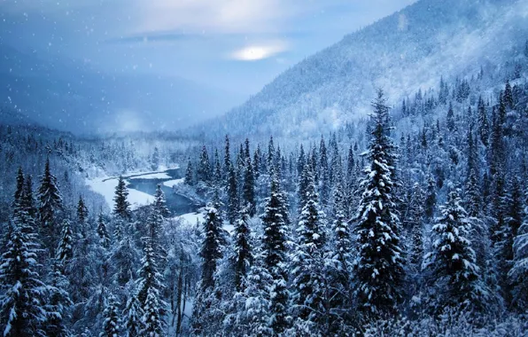 Картинка небо, горы, лес, зима