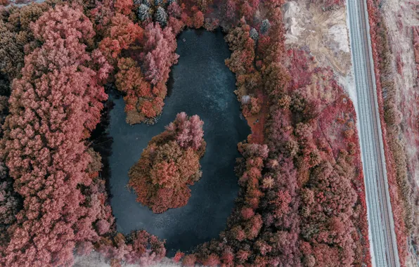 Картинка Landscape, Lake, Forest, Drone, Fly