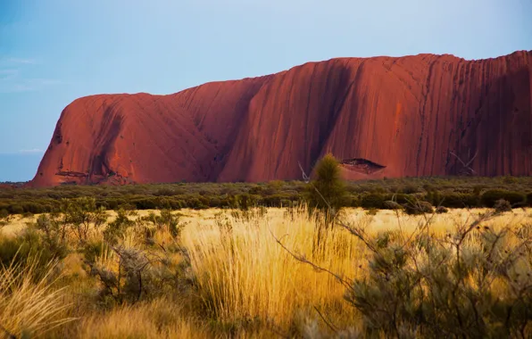 Картинка природа, пустыня, утро, Австралия, Улуру, Айерс-Рок, Uluru