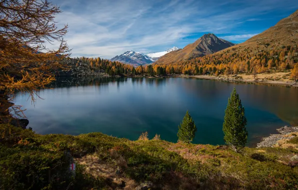 Картинка осень, пейзаж, горы, природа, озеро, Швейцария, Лаго ди Валь Виола