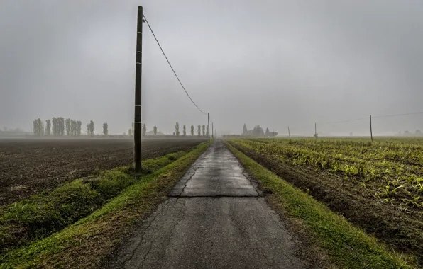 Картинка дорога, поле, туман