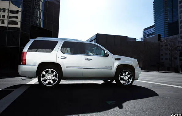 Картинка cadillac, hybrid, escalade