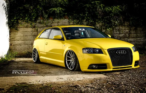 Картинка audi, wheels, tuning, front, face, low, stance, clean, yelow