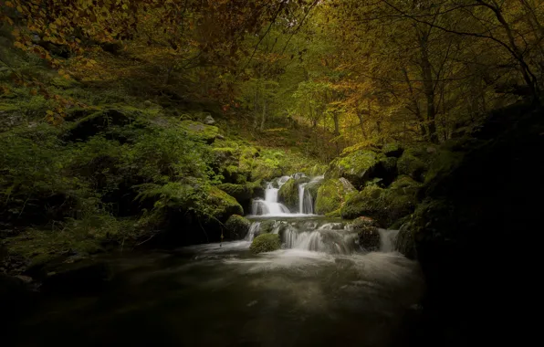 Картинка осень, темный фон, водопад