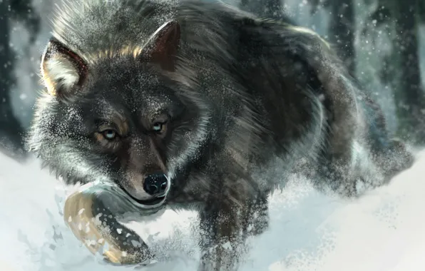 Картинка Рисунок, Снег, Волк, Животные
