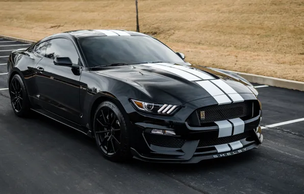 Картинка shelby, black, 350