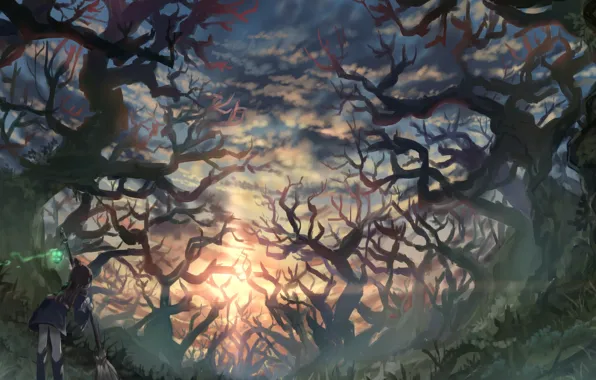 Картинка Little Witch Academia, Atsuko Kagari, девушка, лес, закат