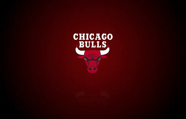 Картинка Chicago, Logo, NBA, Chicago Bulls, Basketball, Sport, Emblem