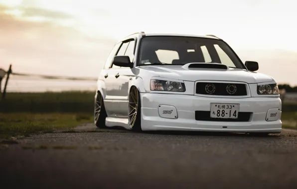Картинка turbo, white, subaru, japan, jdm, tuning, front, sti, face, low, stance, forester