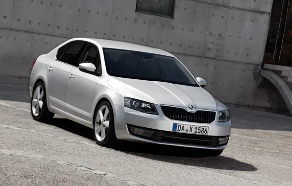 Картинка седан, Škoda, 2013, Skoda, Octavia, серо-серебристый