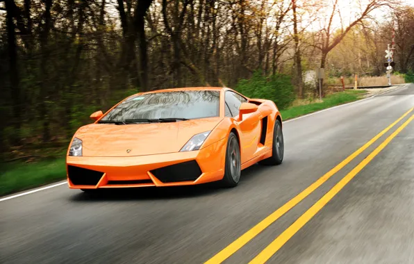 Картинка дорога, деревья, оранжевый, разметка, gallardo, lamborghini, trees, orange, ламборгини, галлардо, жёлтые полосы, lp550-2