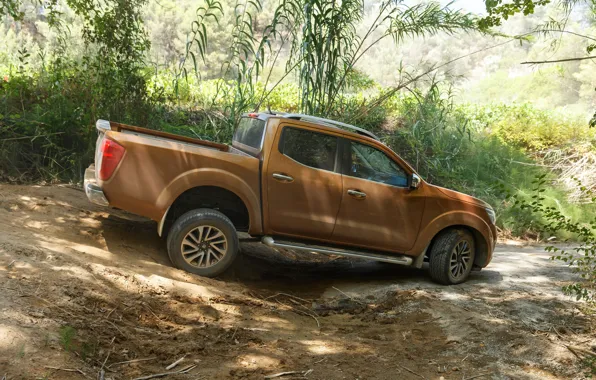 Картинка земля, растительность, Nissan, пикап, Navara