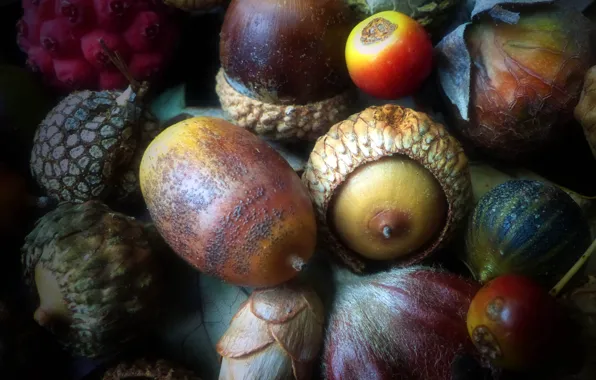 Картинка осень, плоды, орехи, желудь