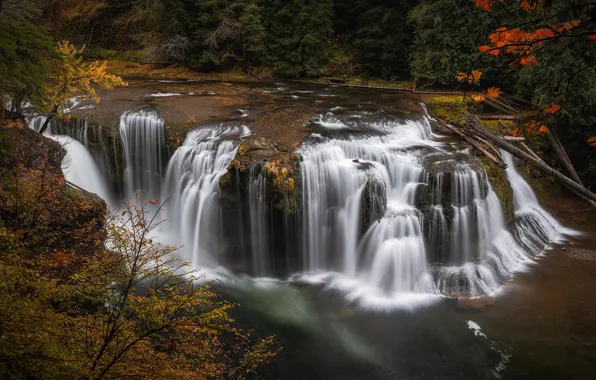 Картинка осень, река, водопад, каскад, Lower Lewis River Falls, Lewis River, Gifford Pinchot National Forest, Washington …