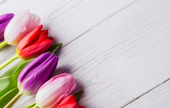 Картинка цветы, букет, colorful, тюльпаны, red, white, wood, flowers, tulips, spring, purple