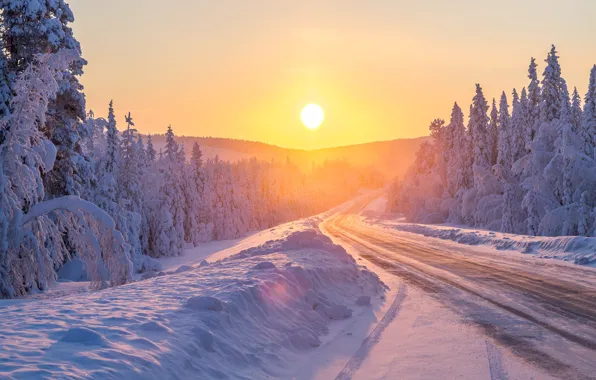 Картинка зима, дорога, лес, солнце, снег, природа, утро, ели