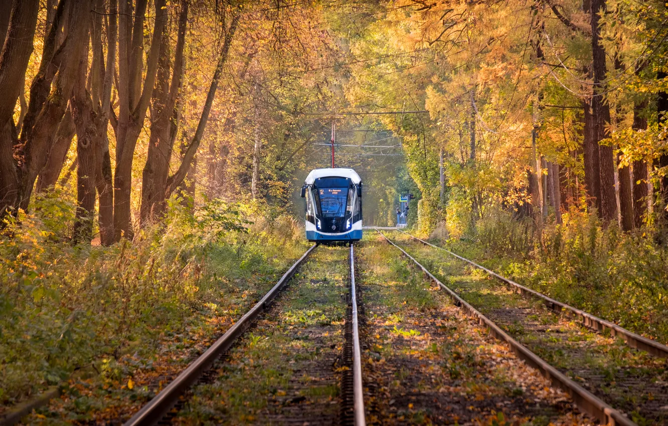 Фото обои metal, trees, autumn, foliage, train tracks