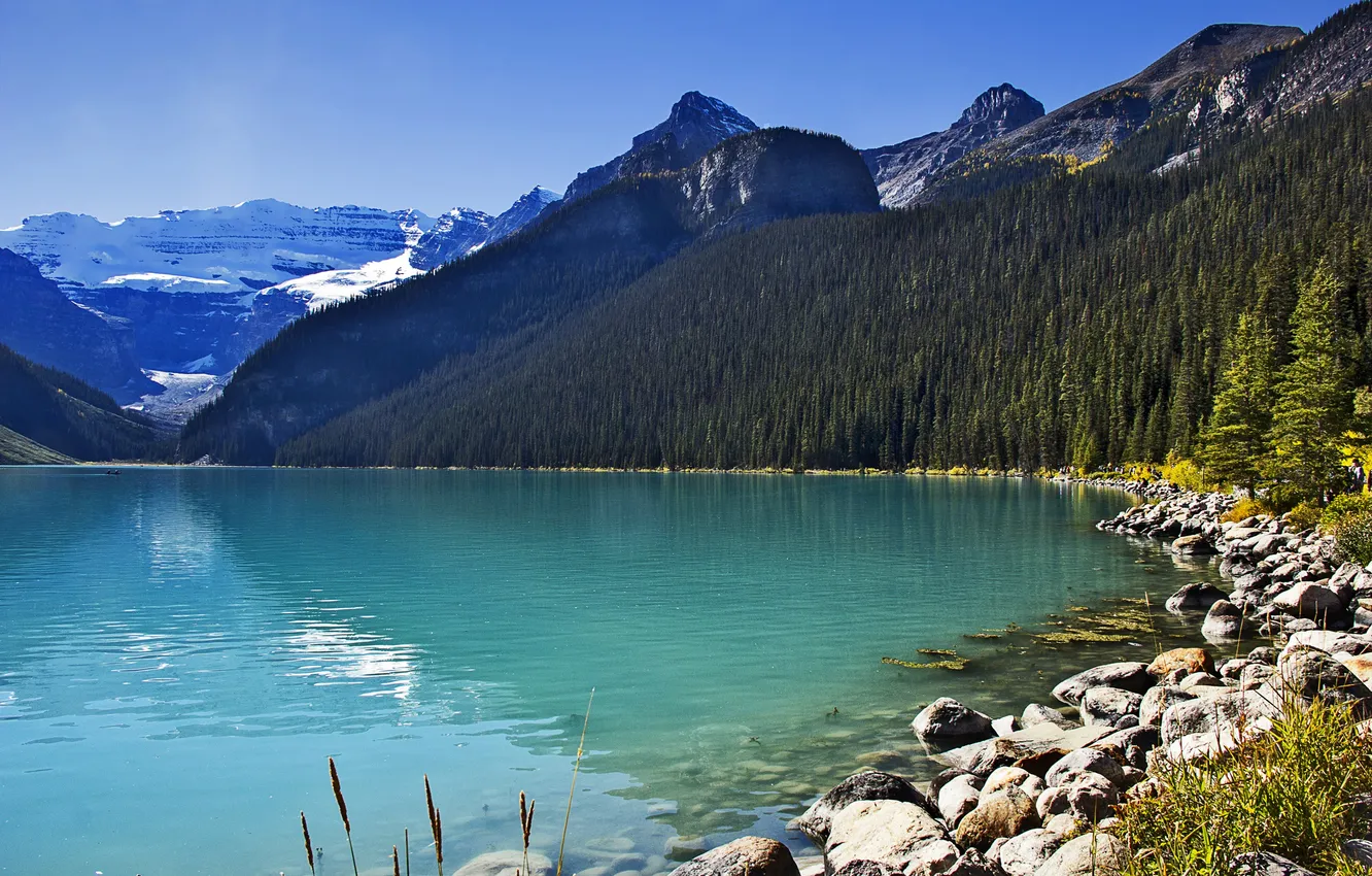 Фото обои лес, небо, солнце, деревья, горы, озеро, камни, Канада