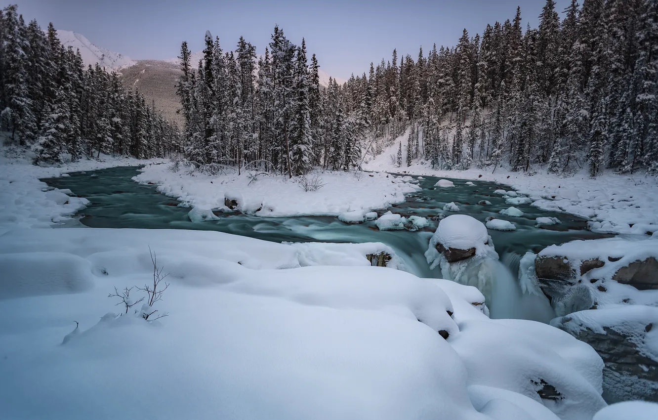 Фото обои зима, лес, снег, деревья, река, Канада, Альберта, Alberta