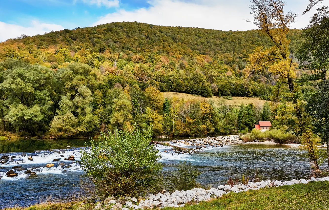 Фото обои фото, Природа, Осень, Река, Лес, Холмы, Хорватия, Gorski-kotar