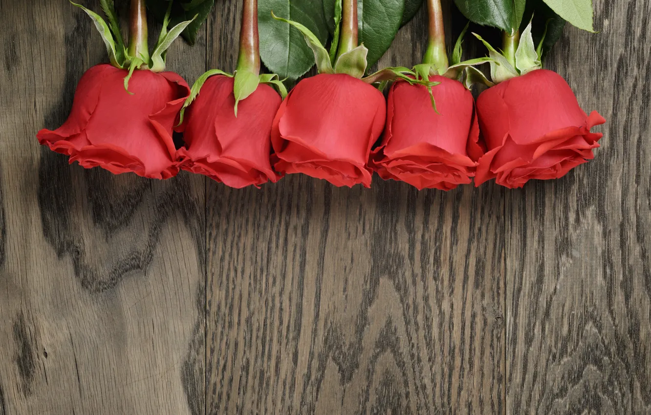 Фото обои букет, red, wood, romantic, roses, красные розы