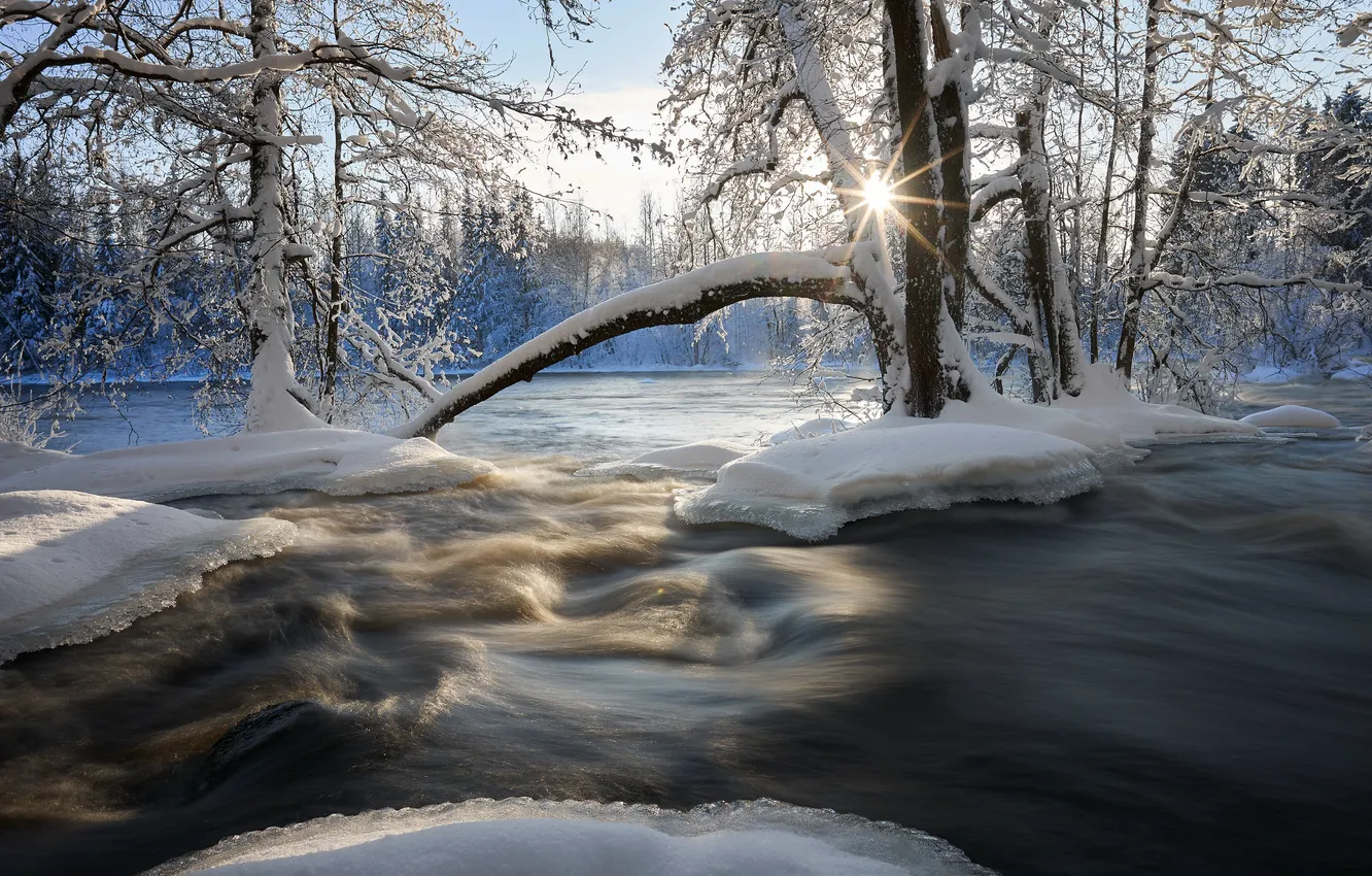 Фото обои зима, снег, деревья, река, Финляндия, Finland, Kuusaankoski River, Река Куусаанкоски