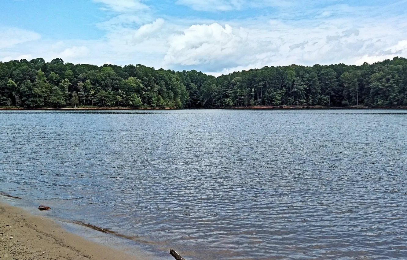 Фото обои North Carolina, Lake, Raleigh, Falls Lake