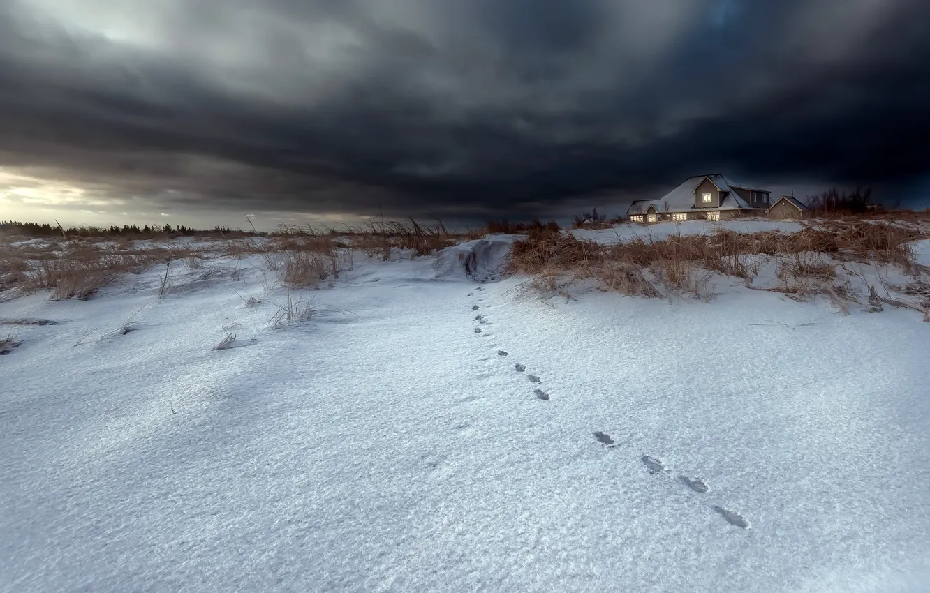 Фото обои снег, ночь, следы, дома
