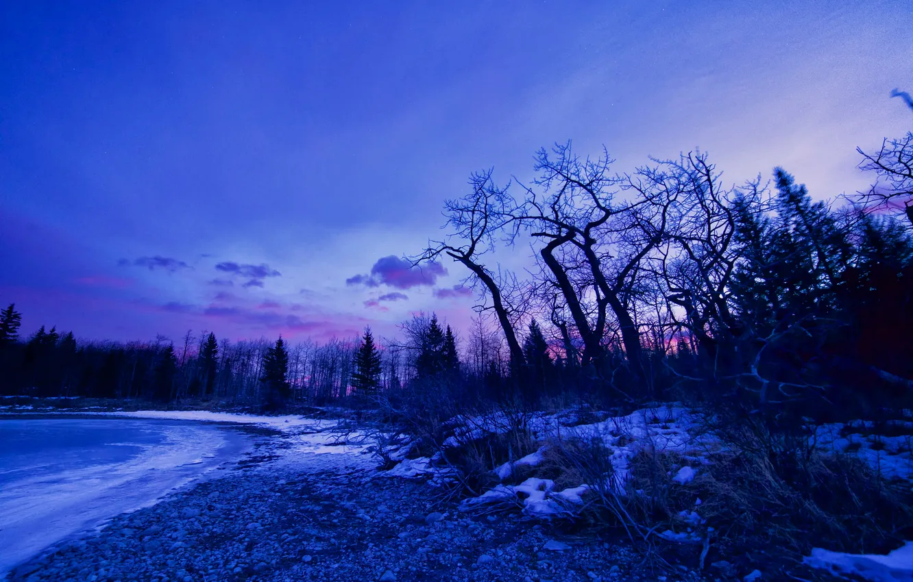 Фото обои зима, снег, деревья, озеро, рассвет, зарево