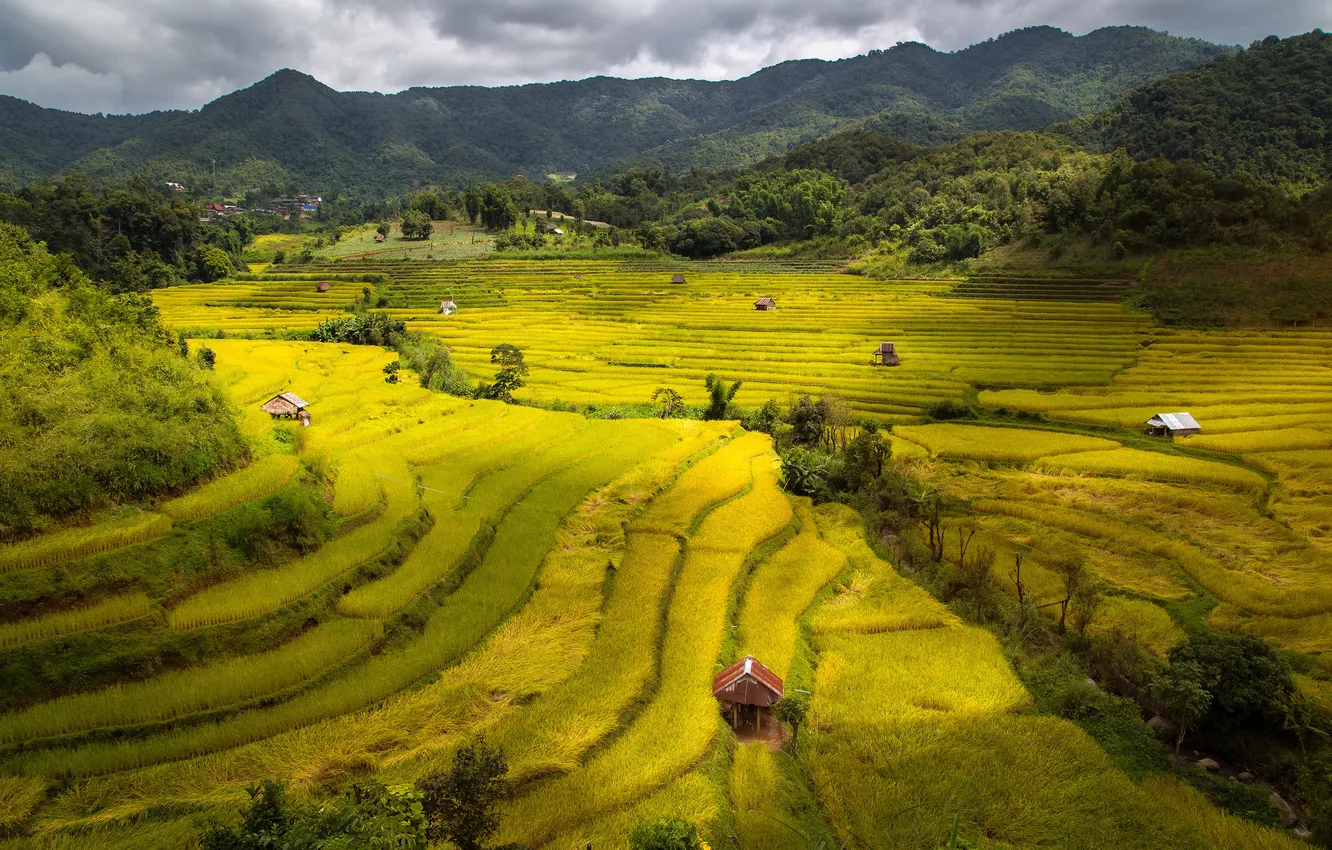 Фото обои зелень, лес, солнце, облака, горы, поля, домики, Вьетнам