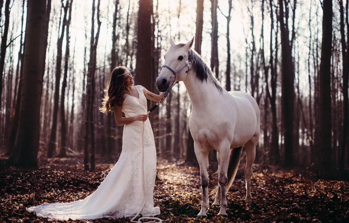 Фото обои лес, девушка, конь