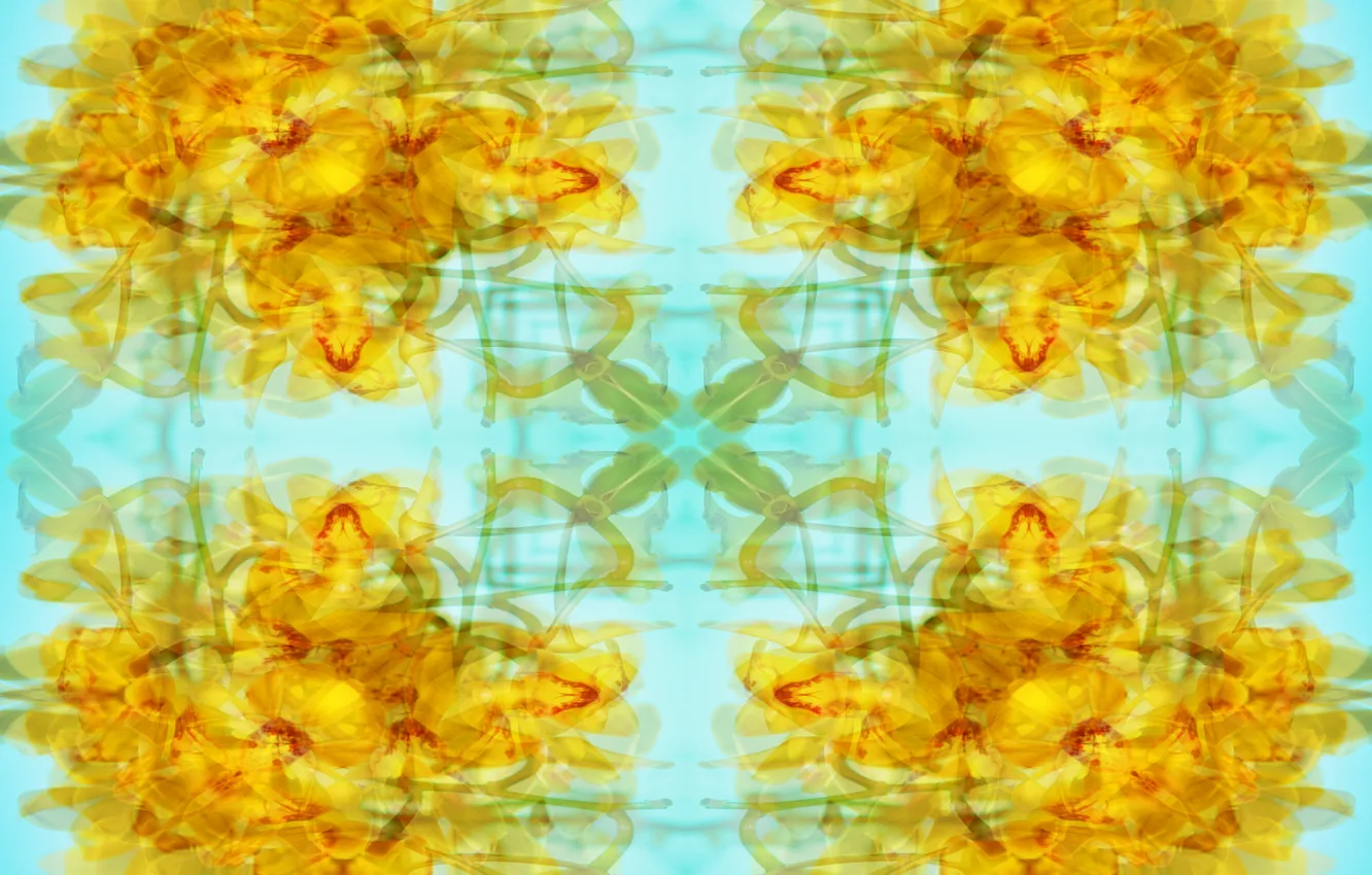 Фото обои design, art, pattern