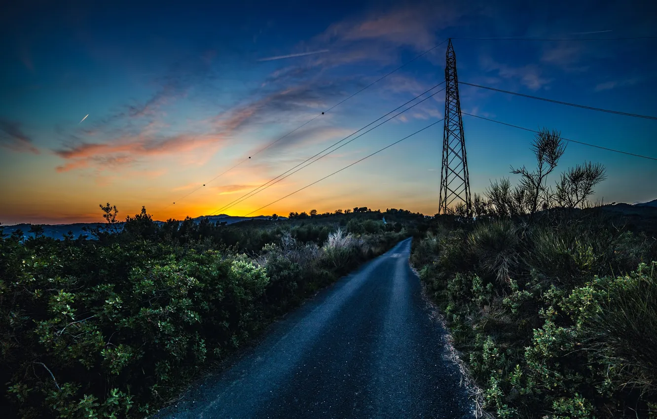 Фото обои дорога, небо, закат, провода, ЛЭП, кусты, Country Road