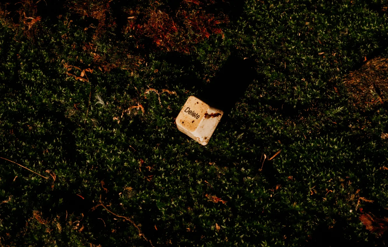 Фото обои компьютер, природа, технологии