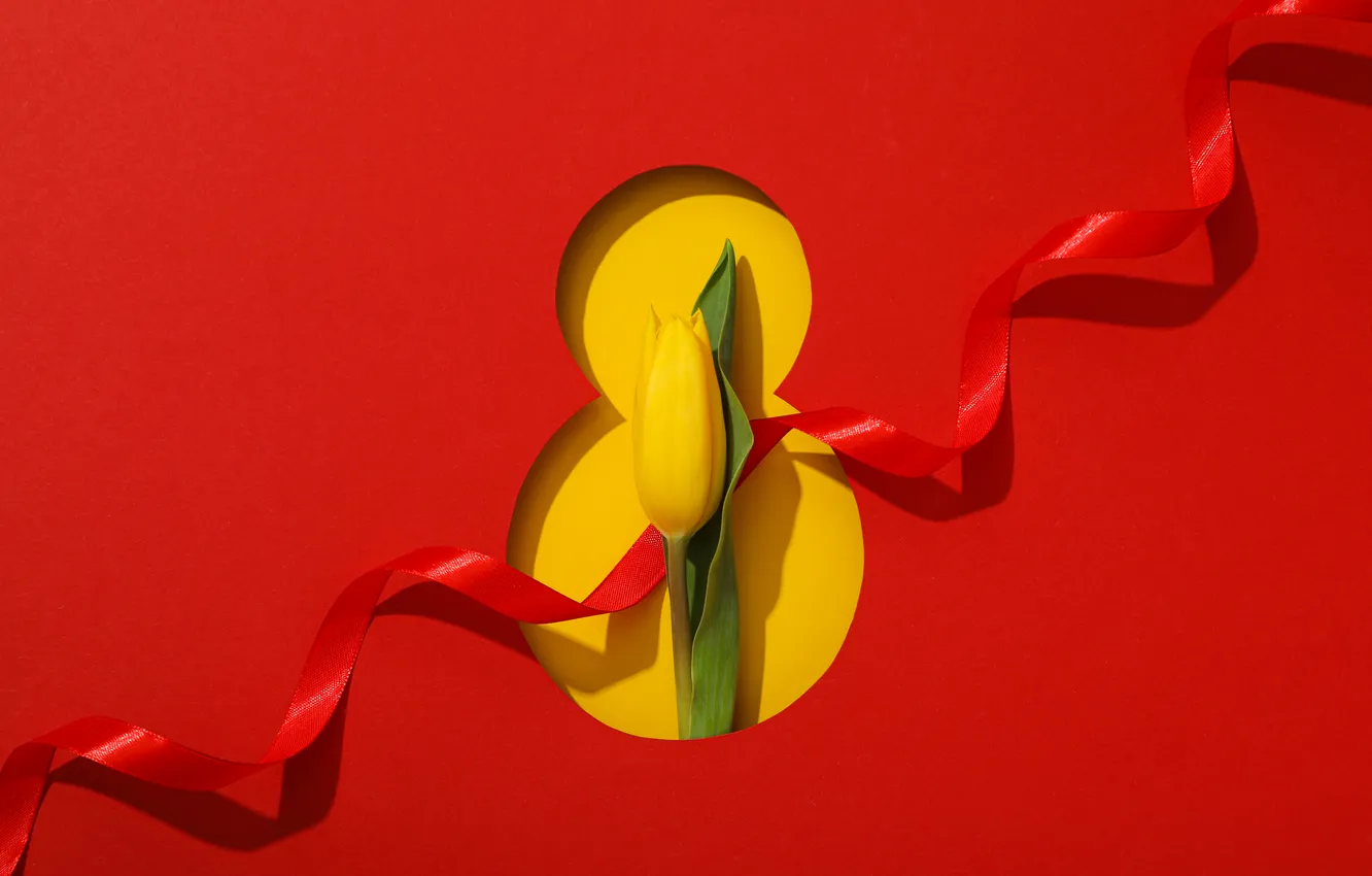Фото обои цветы, цифра, тюльпаны, red, happy, 8 марта, красный фон, flowers