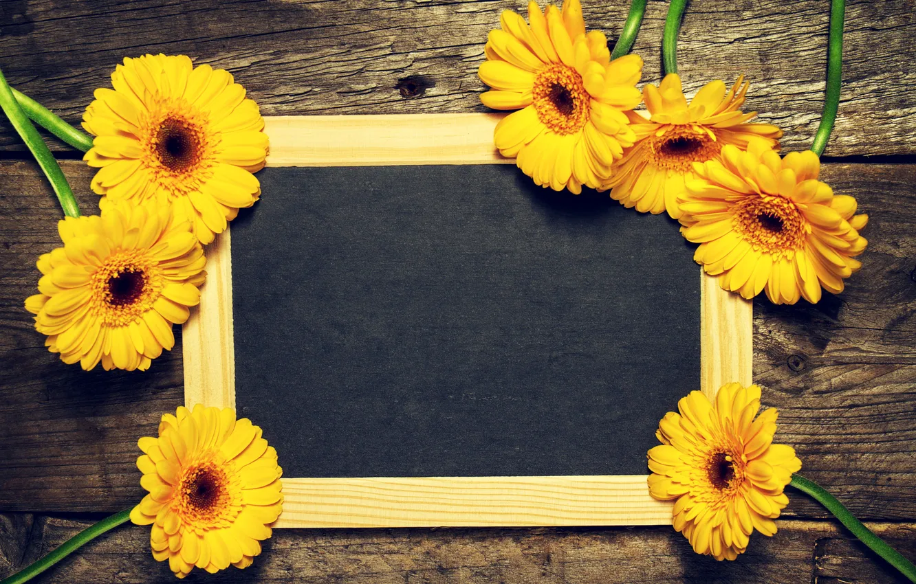 Фото обои цветы, желтые, доска, герберы, yellow, wood, flowers, gerbera