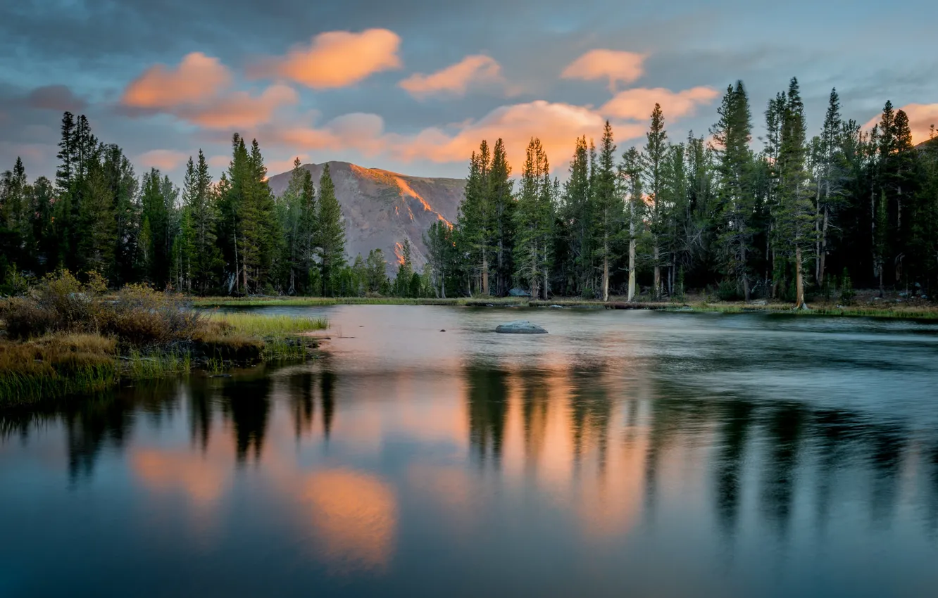 Фото обои Йосемити, национальный парк, штат Калифорния, США.