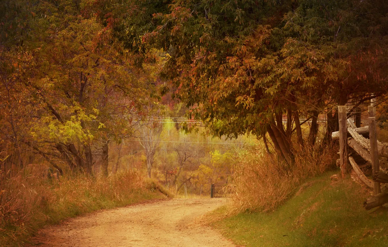 Фото обои дорога, осень, трава, деревья, забор, фермы