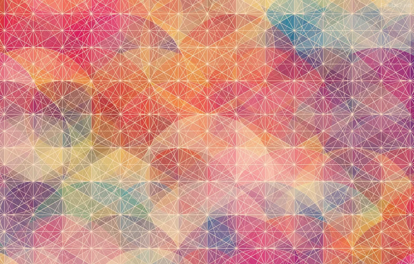 Фото обои линии, сетка, узор, цвет, геометрия