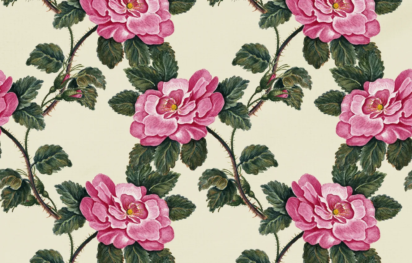Фото обои цветы, фон, текстура, vintage, flowers, background, roses