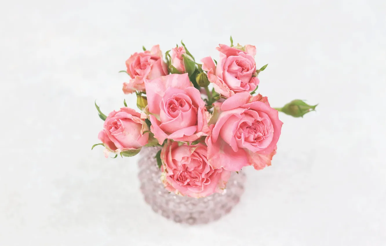 Фото обои стол, розы, ваза, розовые, бутоны
