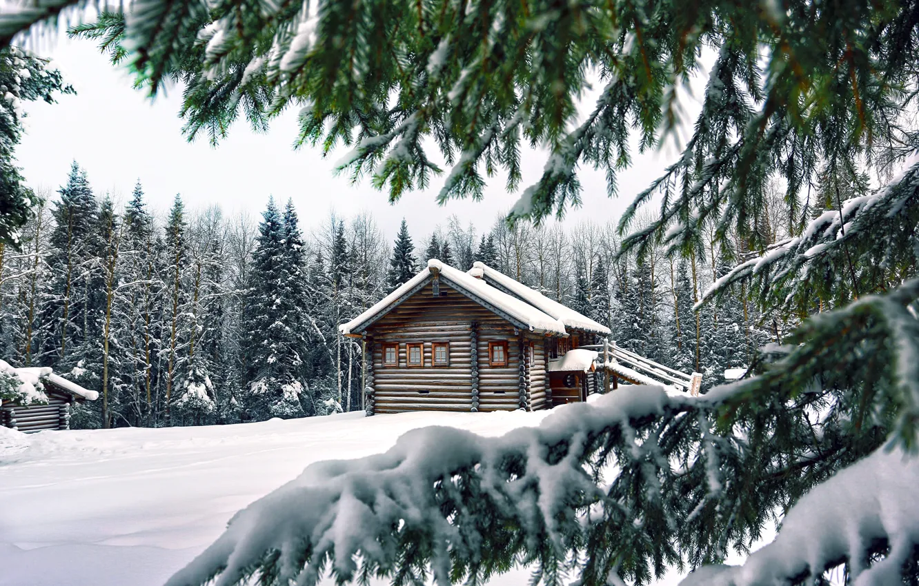 Фото обои зима, снег, деревья, ветки, дом, лапы, ели, хвоя