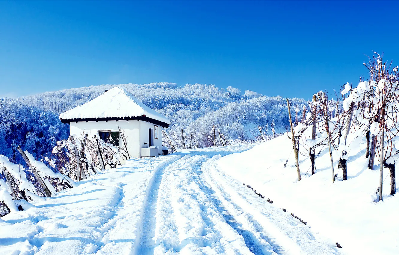 Фото обои Природа, Зима, Снег, сугробы, Пейзаж, погода, wallpapers, условия