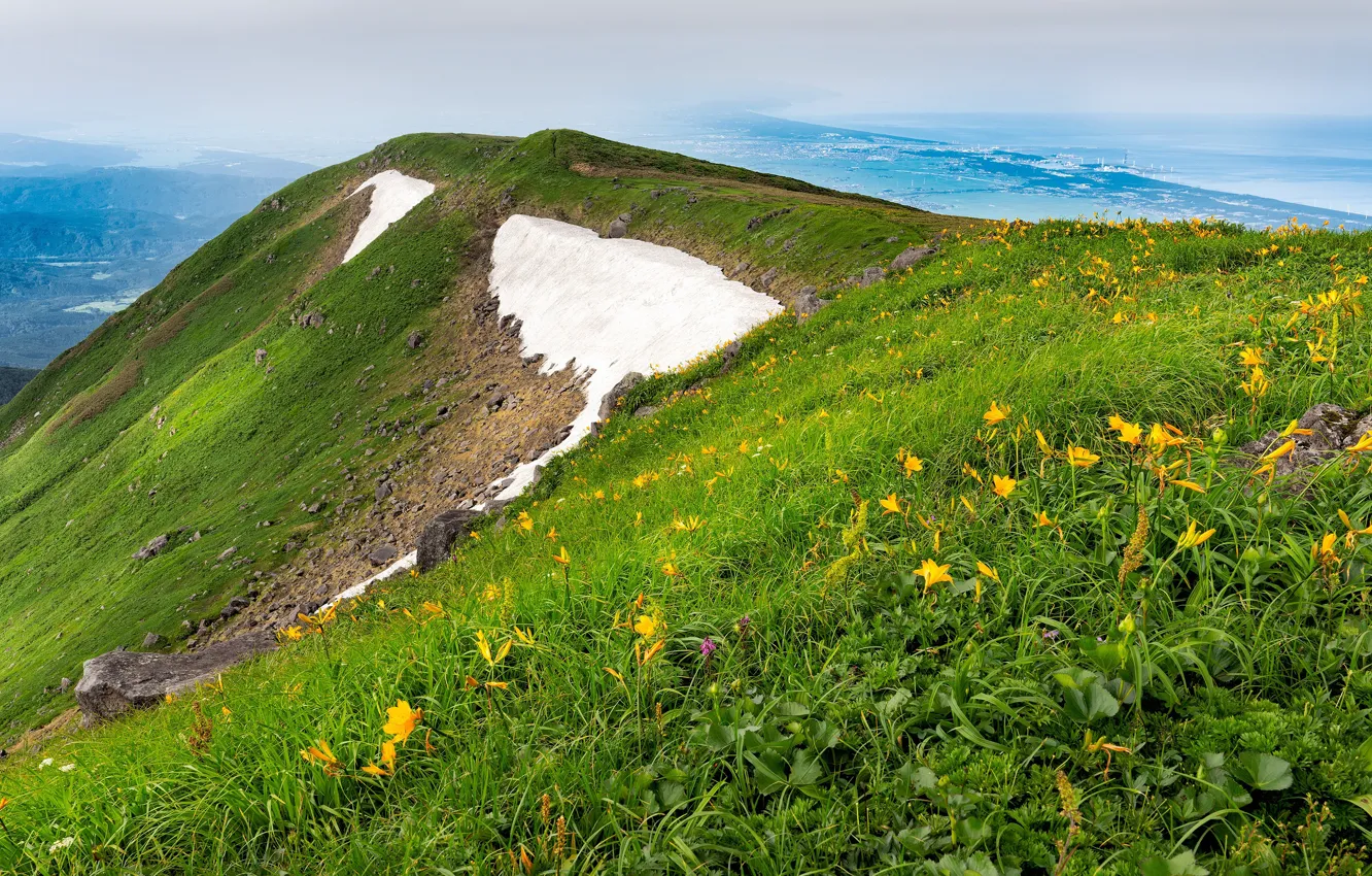 Фото обои зелень, трава, снег, цветы, горы, туман, склоны, гора