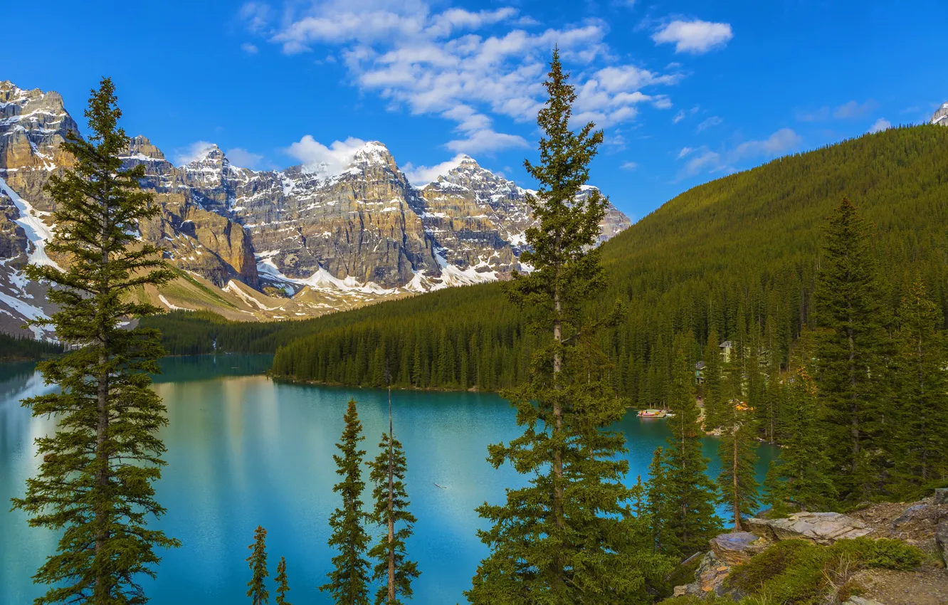 Фото обои лес, деревья, горы, озеро, скалы, Канада, Banff National Park, Alberta