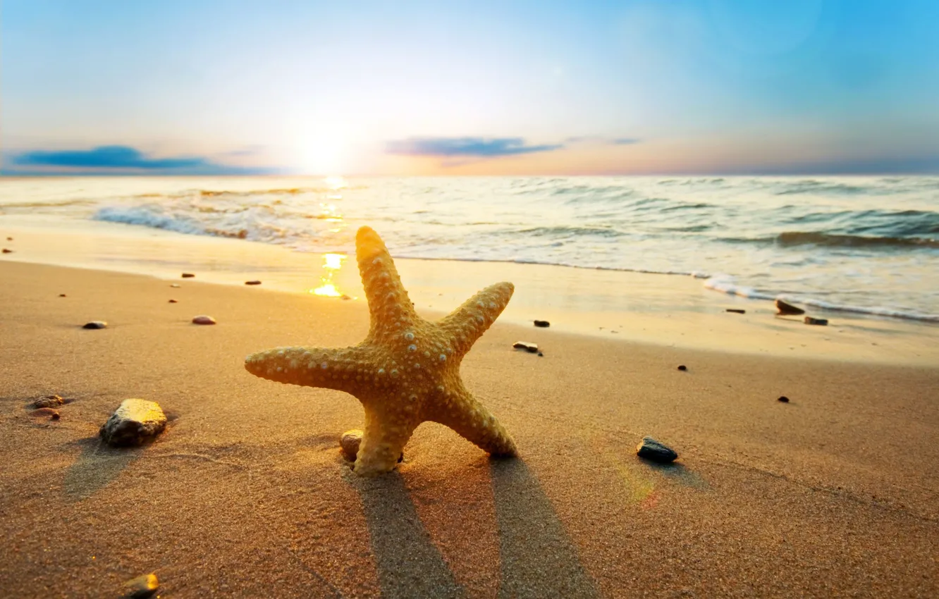 Фото обои песок, море, пляж, вода, солнце, природа, река, камни