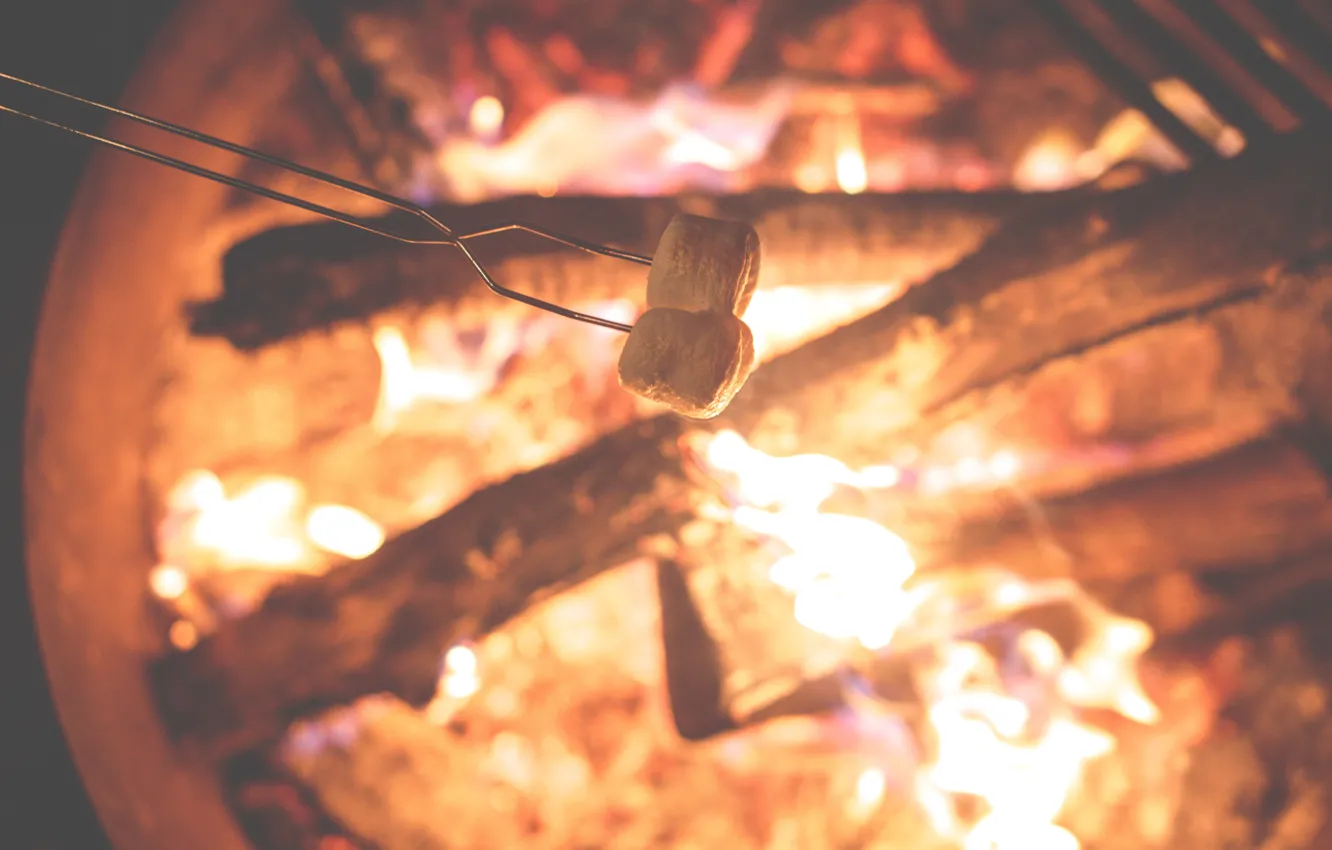 Фото обои огонь, костер, fire, wood, зефир, flames, outdoors, camping
