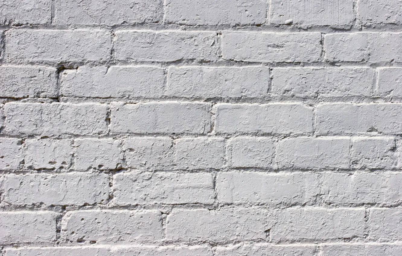 Фото обои wall, white, pattern, brick